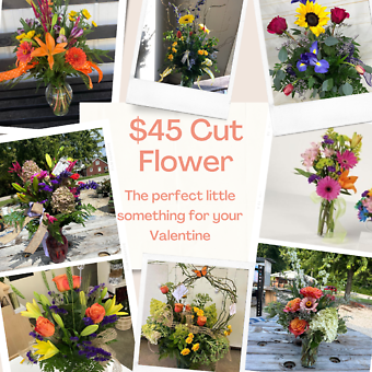 $45 Cut Flower