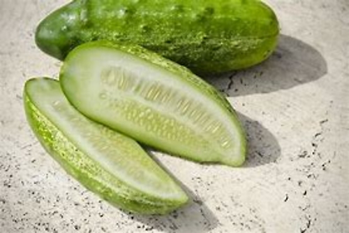 National Pickler Cucumber