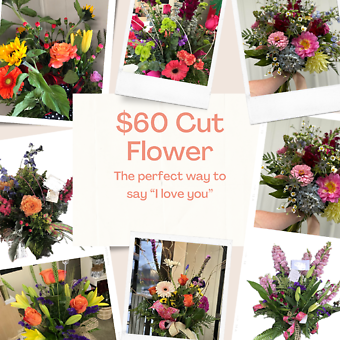 $60 Cut Flower
