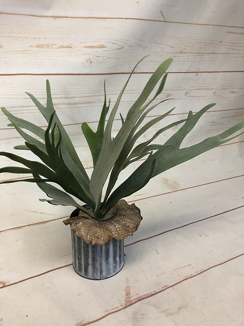 Artificial Staghorn Arrangement