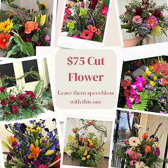 $75 Cut Flower