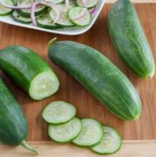 Burpless Muncher Cucumber