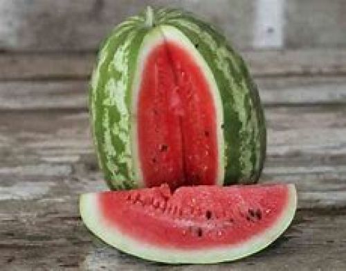 Crimson Sweet Watermelon