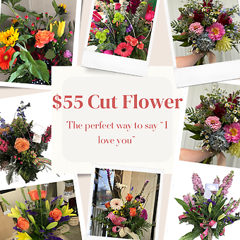 $55 Cut Flower