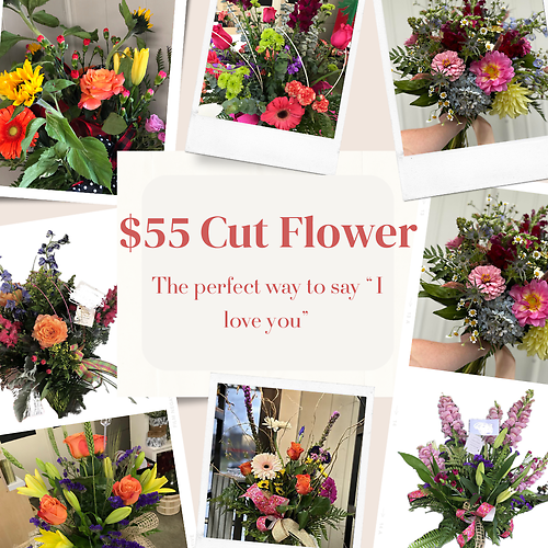 $55 Cut Flower
