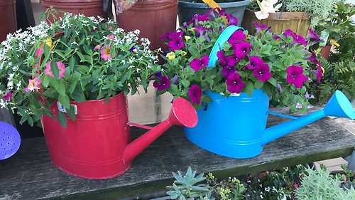 Watering Can Planter