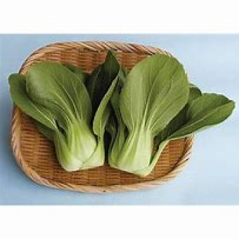 Pak Choi Chinese Cabbage