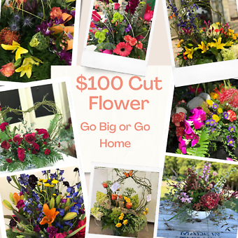 $100 Cut Flower